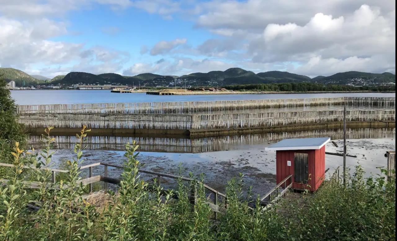 Apartamento Stille Og Landlig, Men Sentrumsnaer Leilighet Namsos Exterior foto
