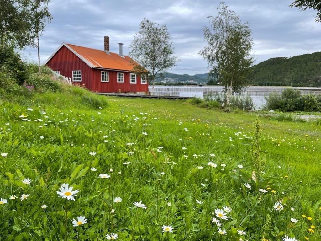 Apartamento Stille Og Landlig, Men Sentrumsnaer Leilighet Namsos Exterior foto